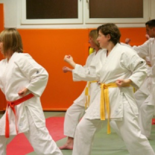 kcd karate do 098