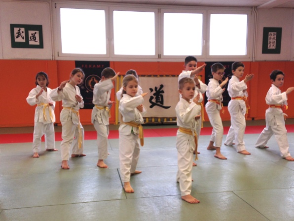 TMD Enfants Karaté Shotokaï FEKAMT dec 2018_3593